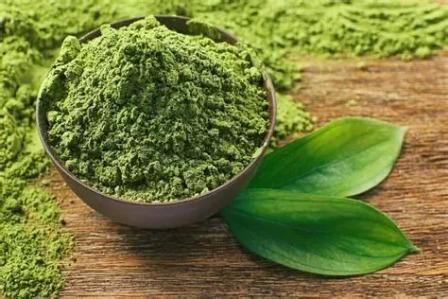 Green Tea Extract